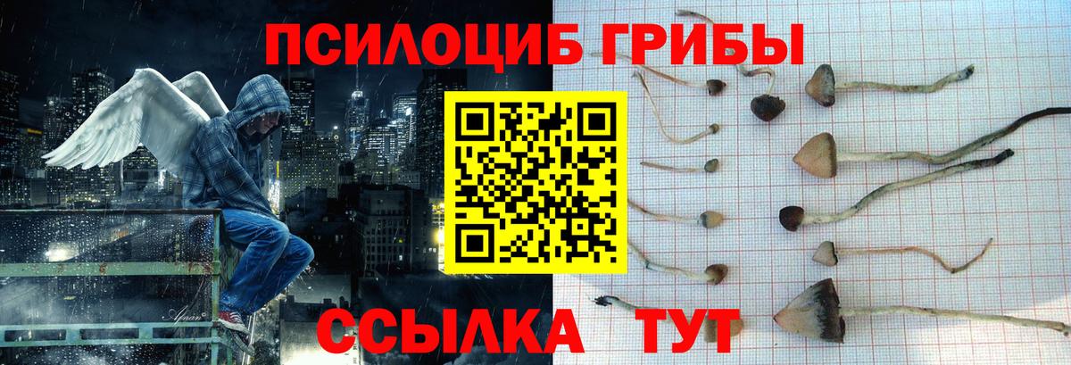 Мытищи  Псилоцибиновые грибы Psilocybine cubensis  Вход с VPN  Псилоцибиновые грибы MAGIC MUSHROOMS 